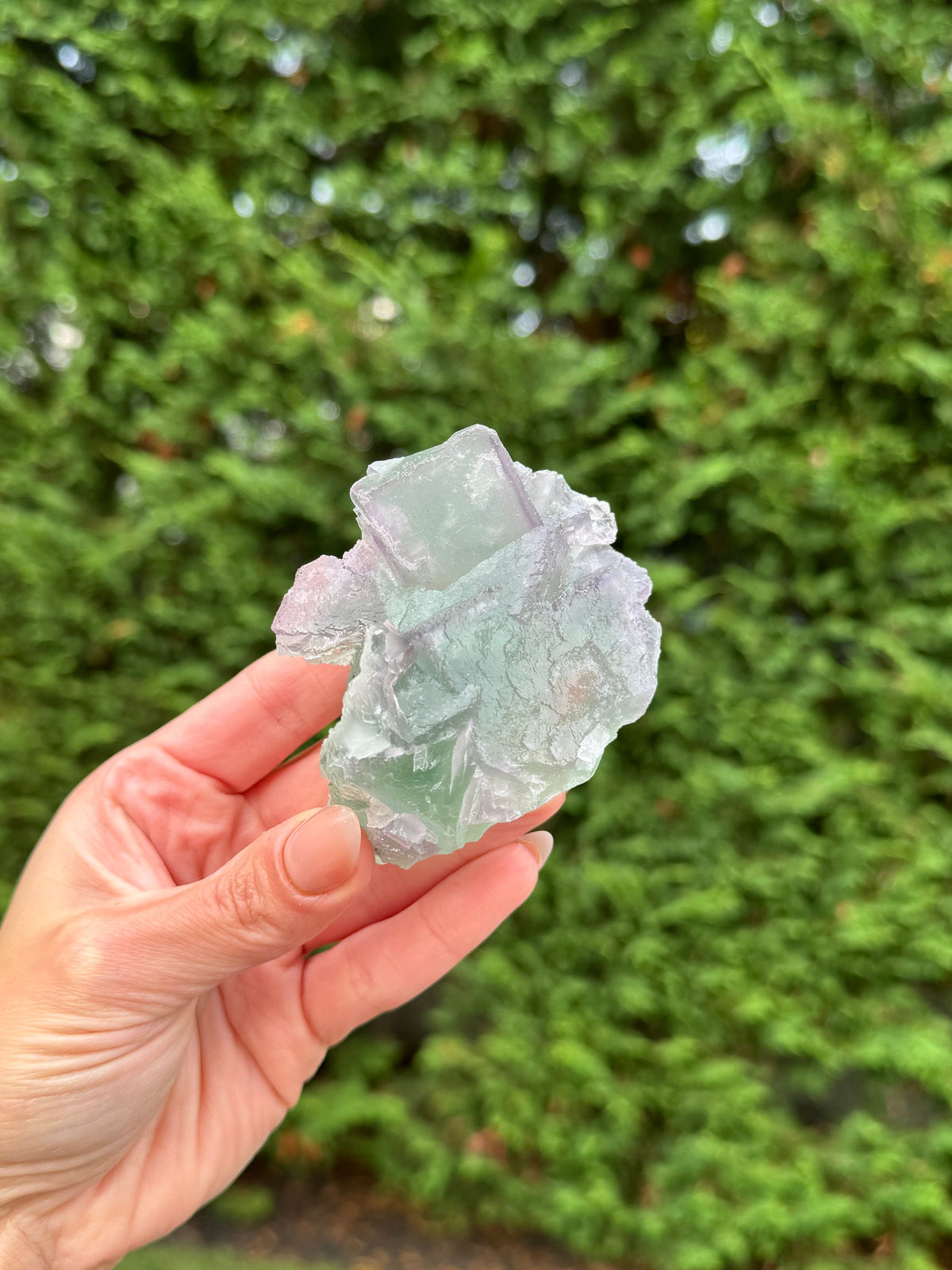 Green & Purple Fluorite Cubic Crystal Specimen • China • Natural Healing Stone • Mineral Cube • Crystal Decor