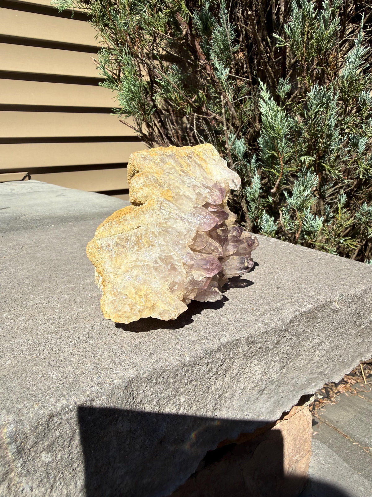 Large Guerrero Amethyst Freeform • Cut Base Crystal • Mexico • Purple Quartz Statement Stone • Healing Decor
