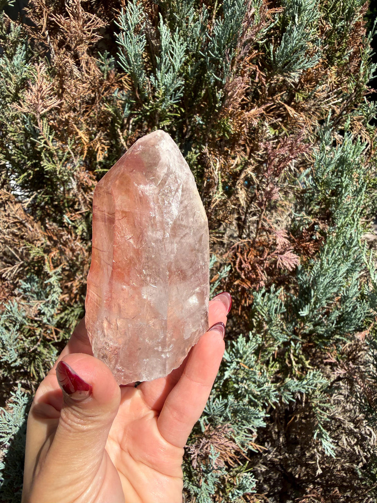 Pink Lithium Quartz Crystal Point on Stand • High Vibration Healing Stone • Spiritual Decor