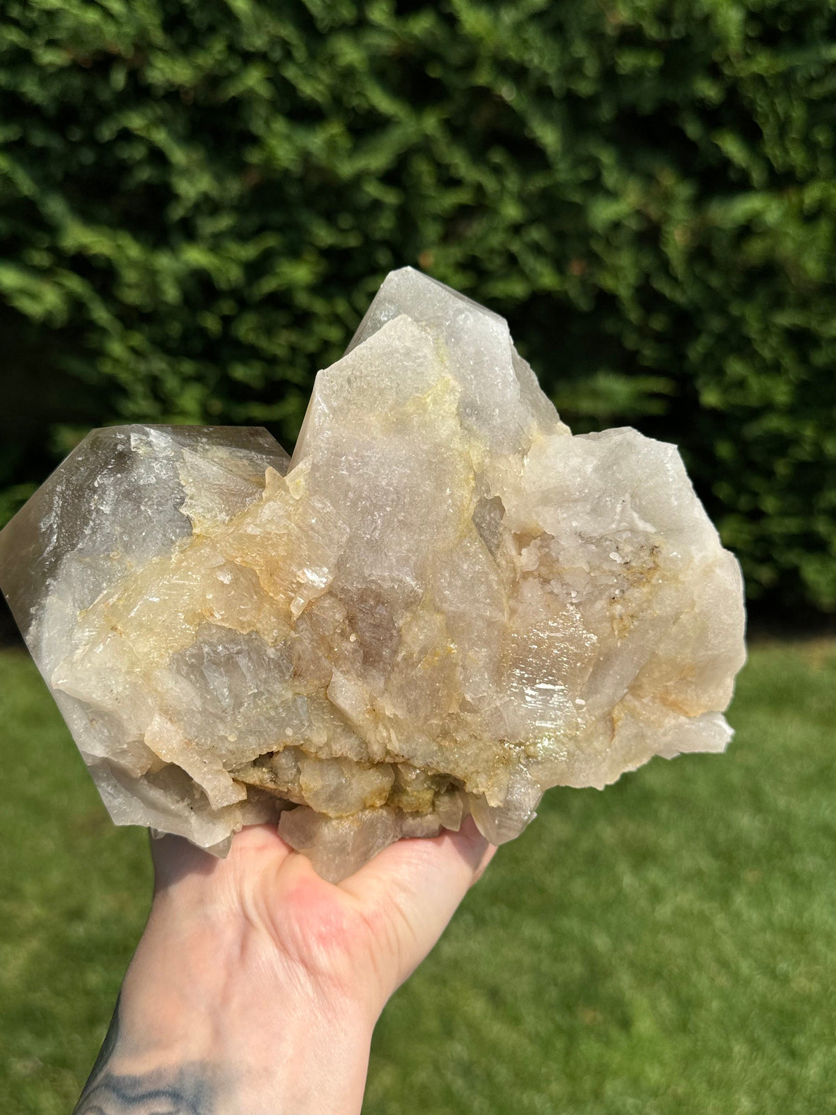 XL Himalayan Quartz Crystal Cluster • High Vibration Meditation Stone • Natural Mineral Specimen (Indian)