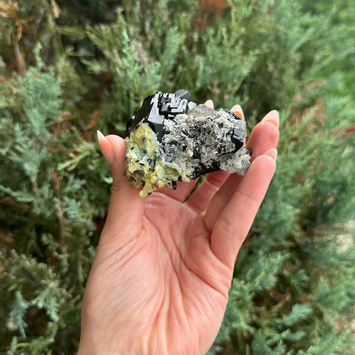Black Tourmaline & Feldspar Specimen • Protective Grounding Crystal • Natural Mineral • Healing Stone • Collector Piece