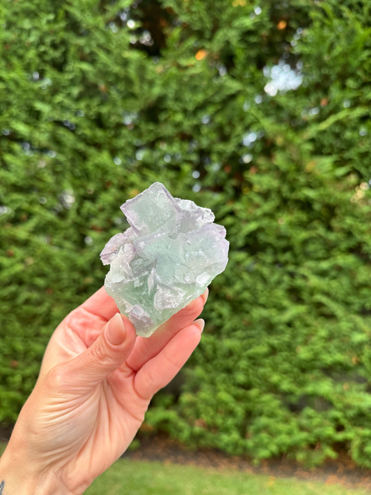 Stunning Green & Purple Chinese Fluorite Cubic Specimen – Natural Crystal, Home Decor, Spiritual Healing, Energy Work Crystal, Reiki Healer