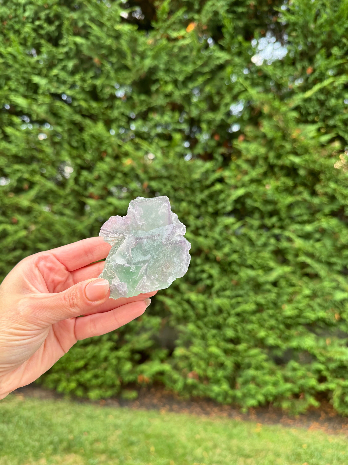Green & Purple Fluorite Cubic Crystal Specimen • China • Natural Healing Stone • Mineral Cube • Crystal Decor