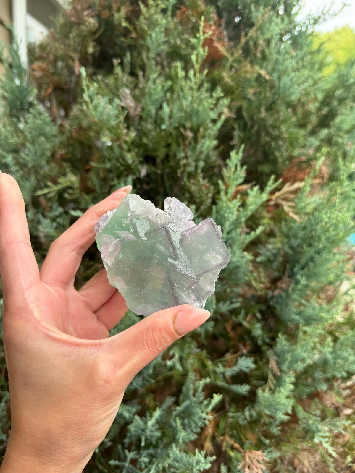 Green & Purple Fluorite Cubic Crystal Specimen • China • Natural Healing Stone • Mineral Cube • Crystal Decor
