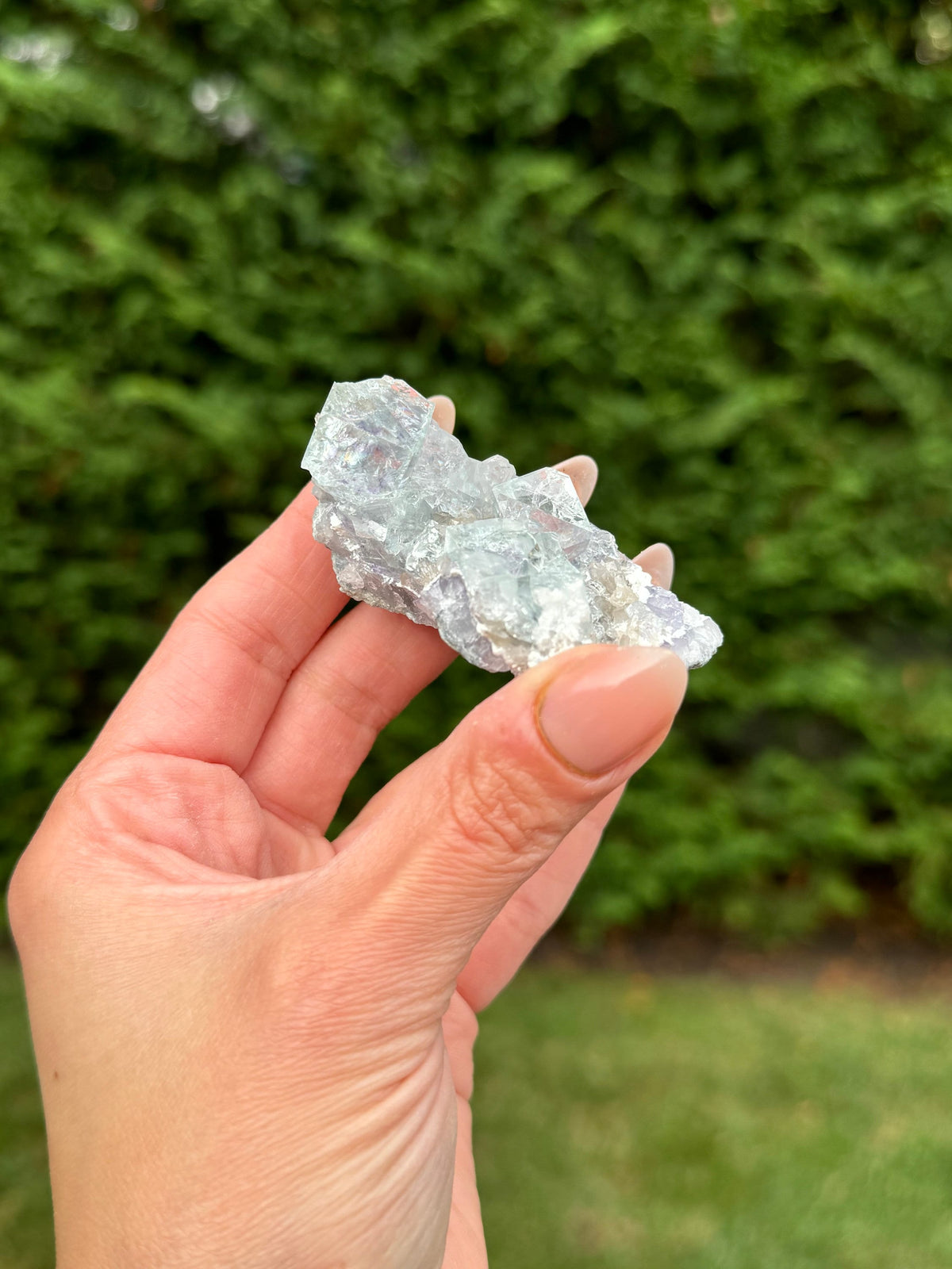 Blue Purple Fluorite Cubic Crystal Specimen • Natural Mineral Collector Stone
