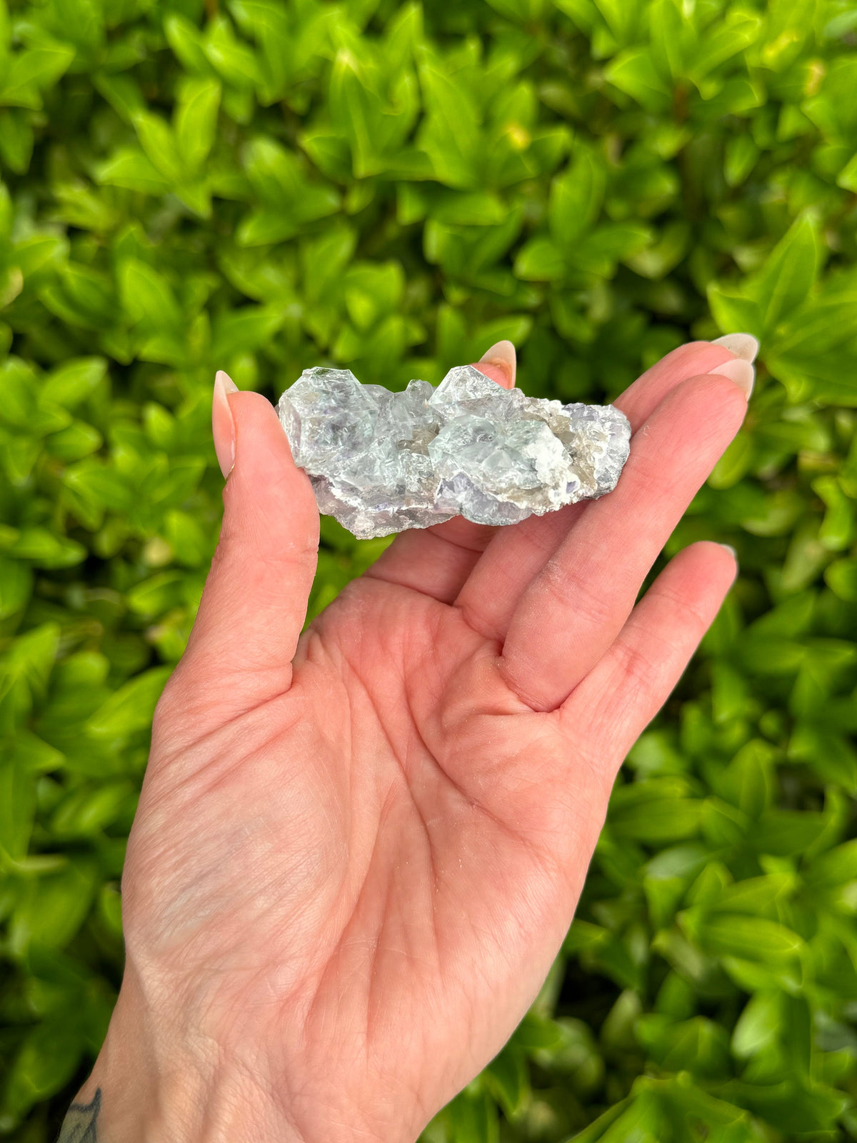 Blue Purple Fluorite Cubic Crystal Specimen • Natural Mineral Collector Stone