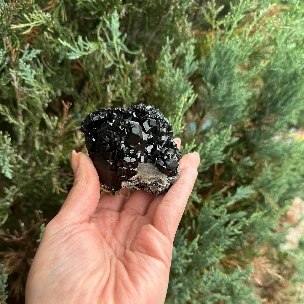 Stunning Black Tourmaline & Feldspar Crystal Specimen – Raw Protective Stone, Natural Mineral Display, Healing Crystal for Grounding, Reiki, high quality tourmaline from Namibia
