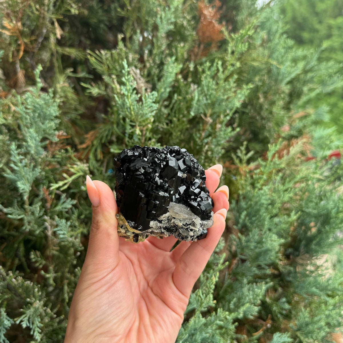 Black Tourmaline & Feldspar Specimen • Protective Grounding Crystal • Natural Mineral • Healing Stone • Collector Piece