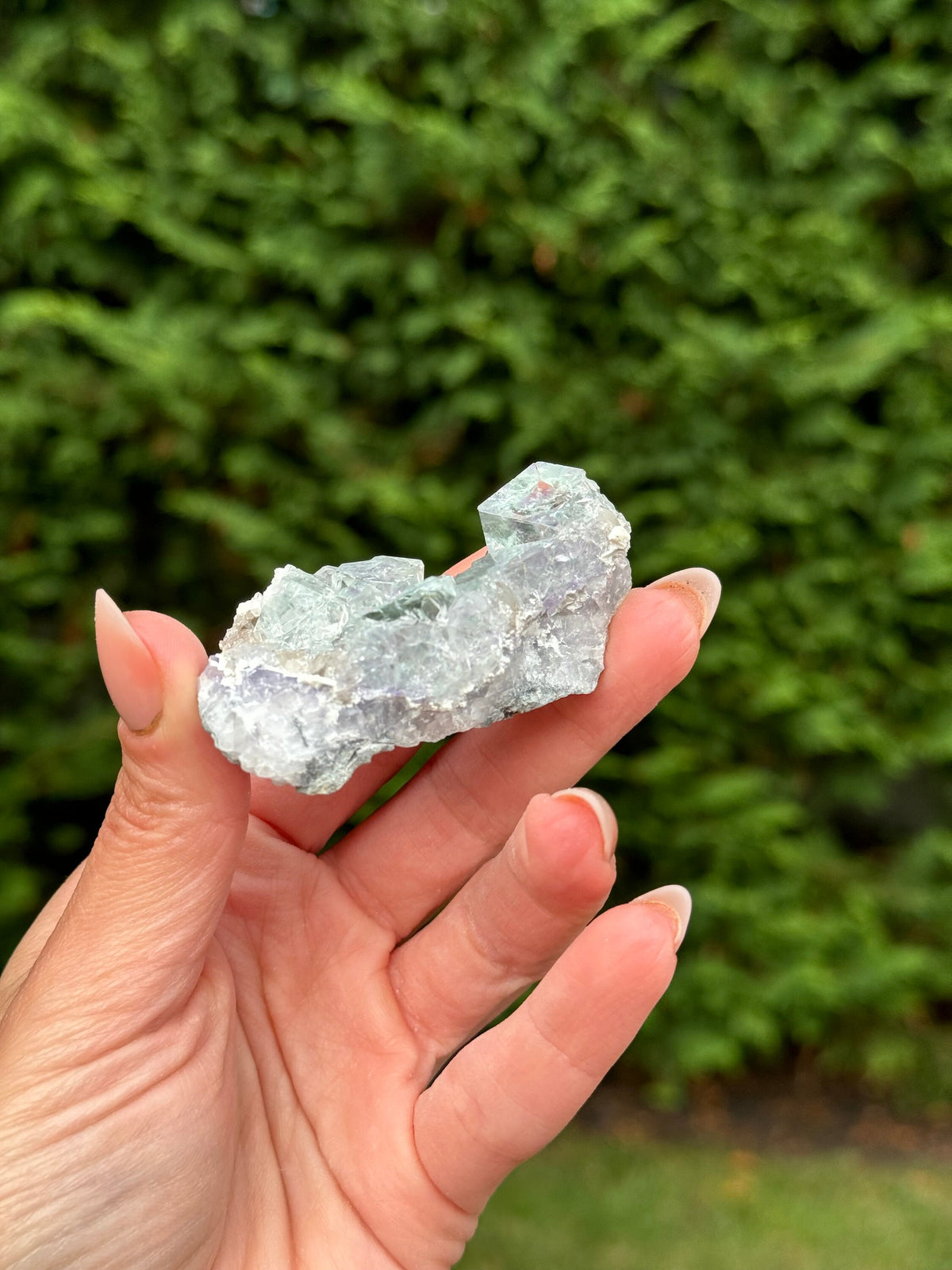 Blue Purple Fluorite Cubic Crystal Specimen • Natural Mineral Collector Stone