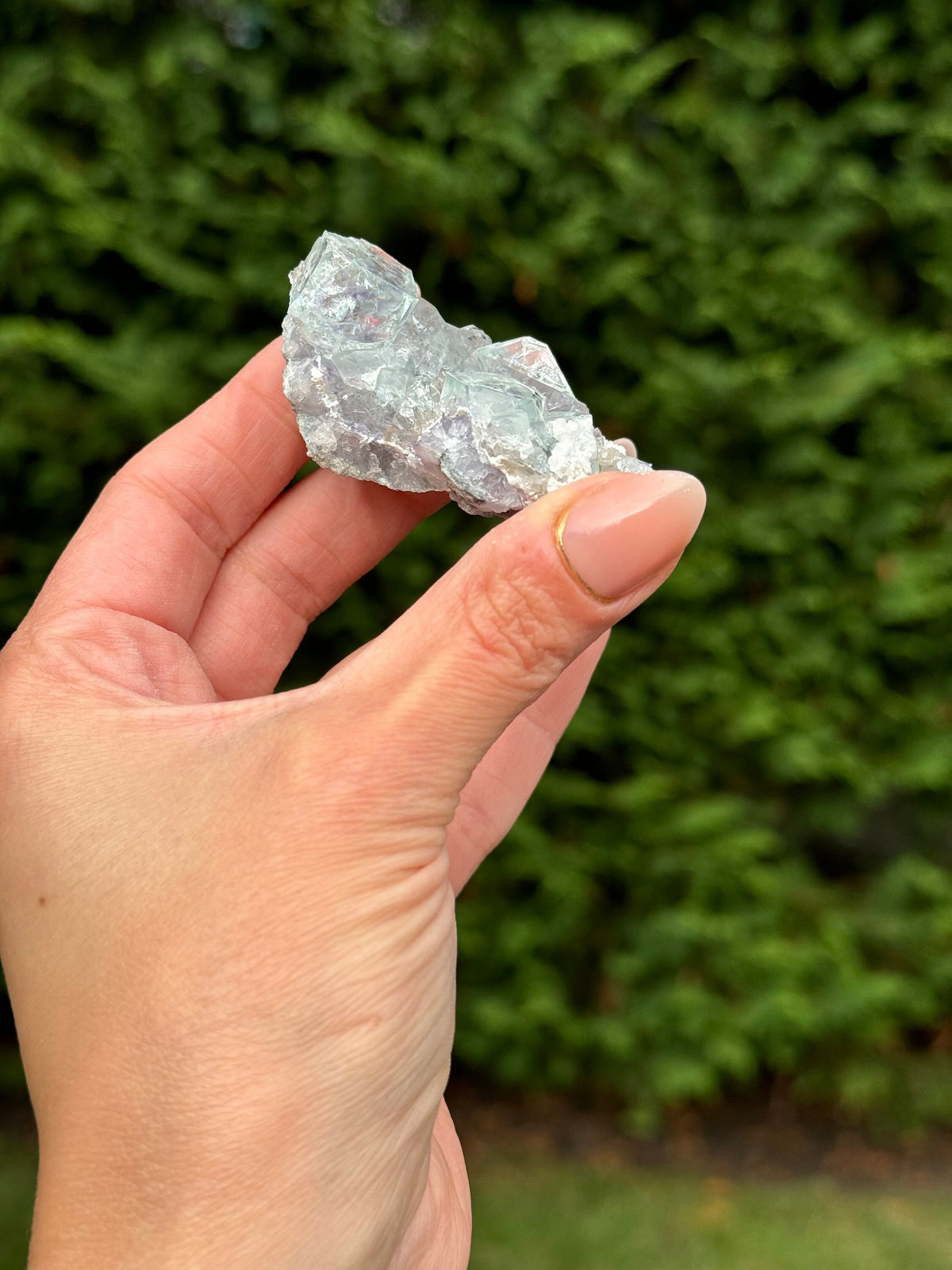 Blue Purple Fluorite Cubic Crystal Specimen • Natural Mineral Collector Stone