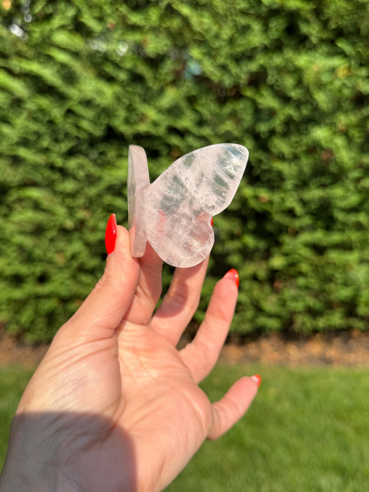 Rose Quartz Butterfly Carving • Golden Healer Crystal • Hand Carved Gemstone Decor