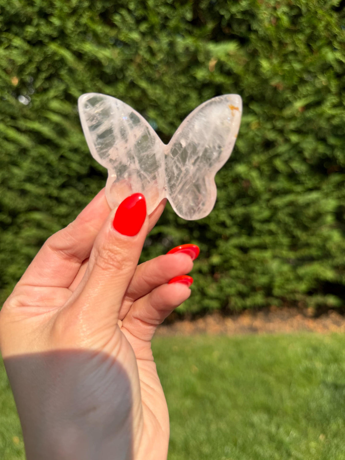 Rose Quartz Butterfly Carving • Golden Healer Crystal • Hand Carved Gemstone Decor