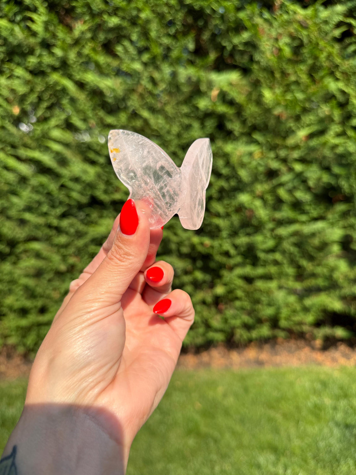 Rose Quartz Butterfly Carving • Golden Healer Crystal • Hand Carved Gemstone Decor