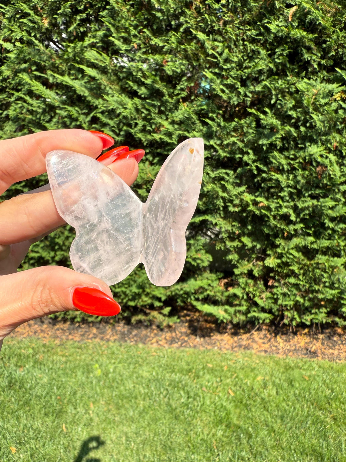Rose Quartz Butterfly Carving • Golden Healer Crystal • Hand Carved Gemstone Decor