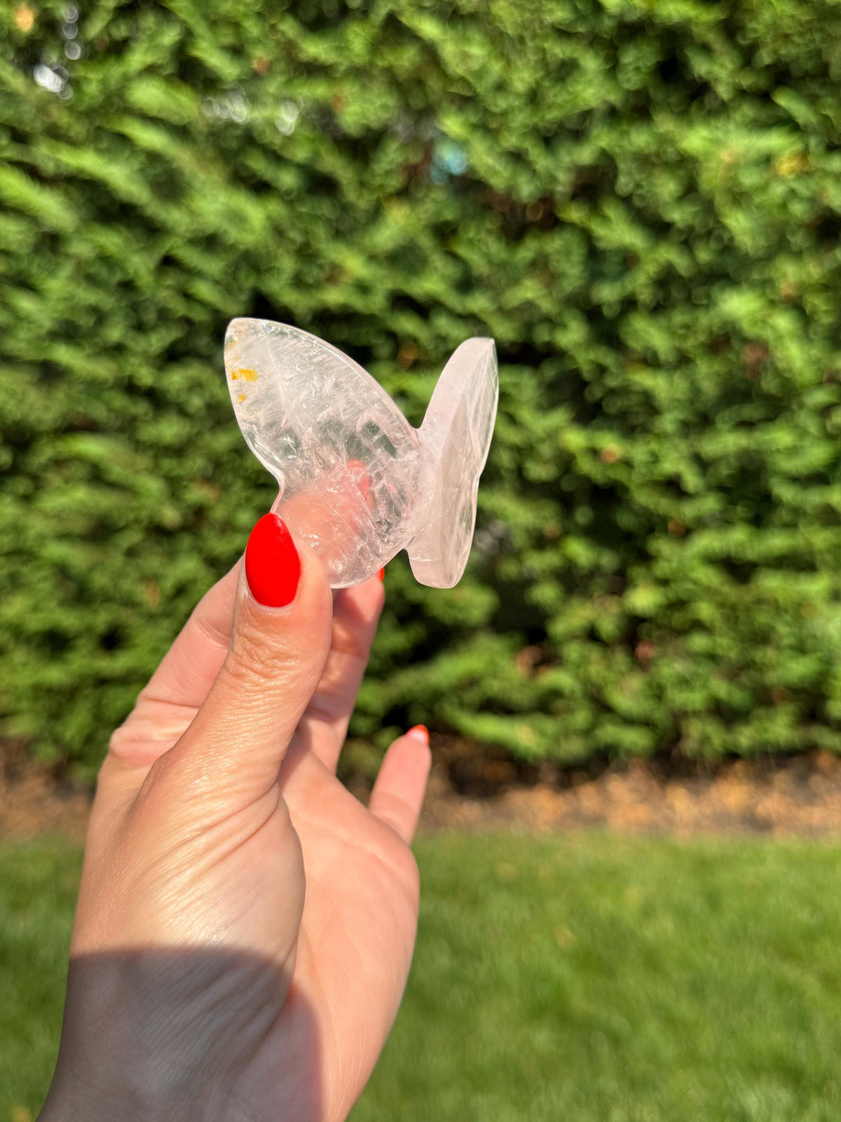 Rose Quartz Butterfly Carving • Golden Healer Crystal • Hand Carved Gemstone Decor