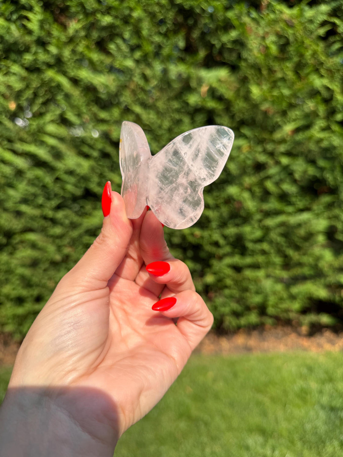 Rose Quartz Butterfly Carving • Golden Healer Crystal • Hand Carved Gemstone Decor