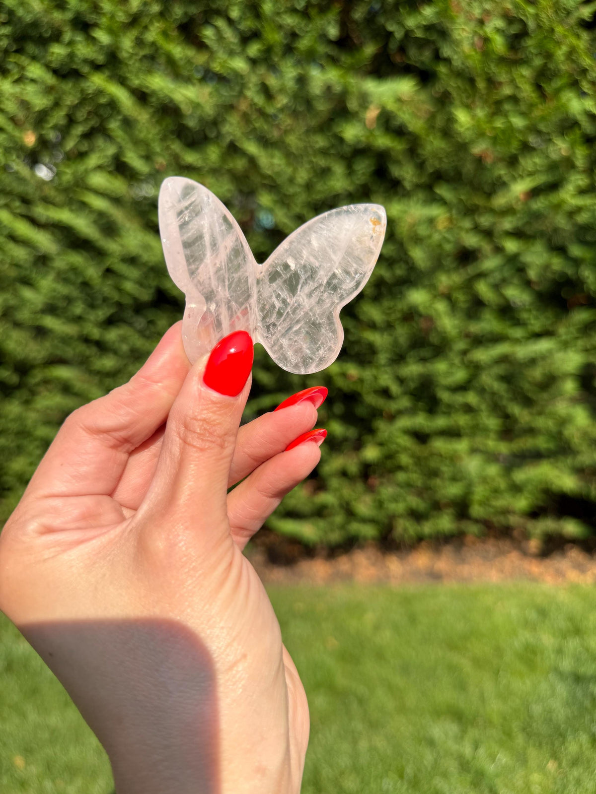 Rose Quartz Butterfly Carving • Golden Healer Crystal • Hand Carved Gemstone Decor