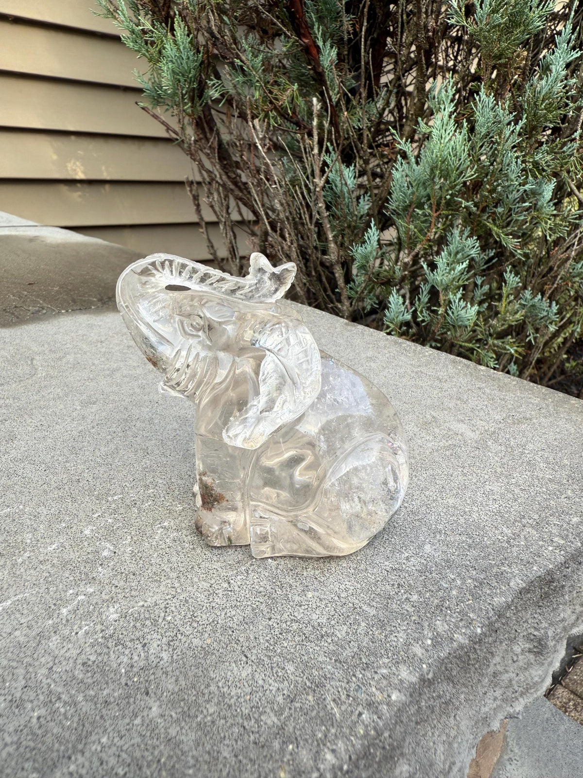 Garden Quartz Elephant Crystal Carving • Hand Carved Lodolite Animal Figurine