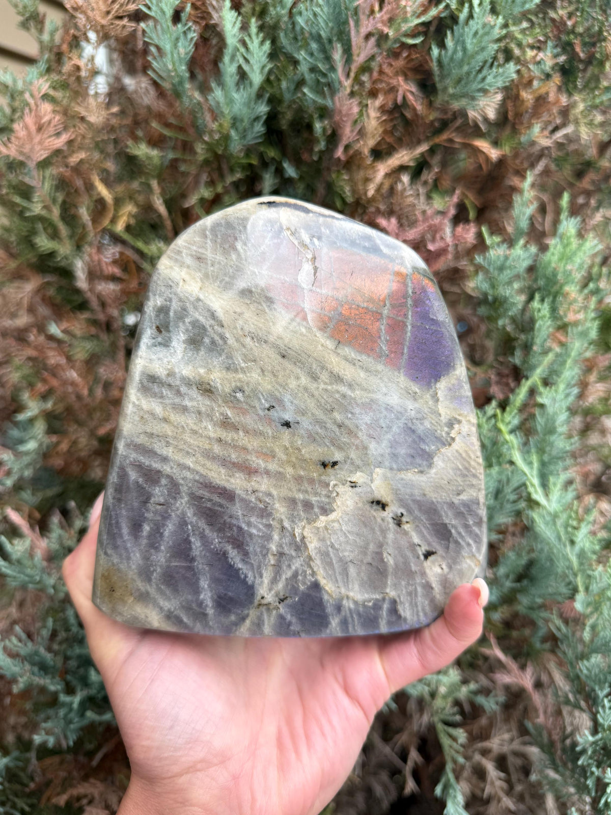 Large Labradorite Freeform Crystal • Polished Sunset Flash, Intuition Stone, Spiritual Decor