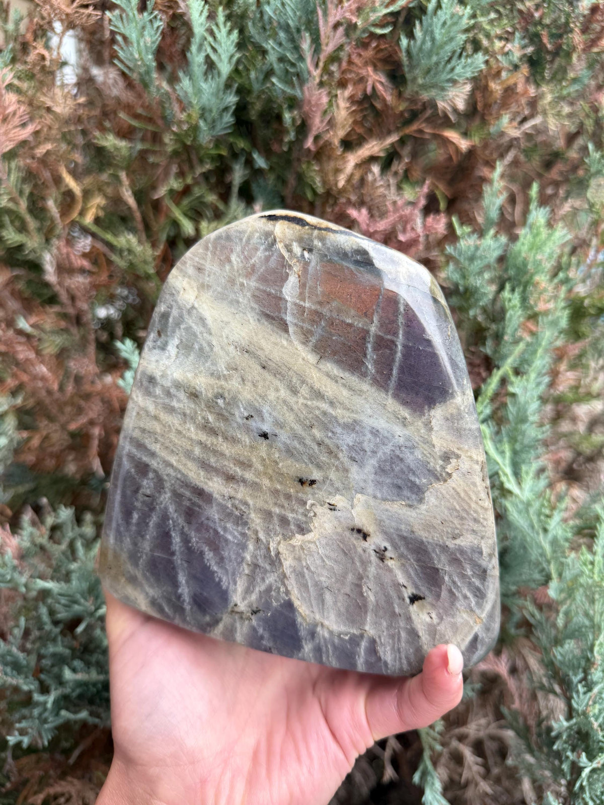 Large Labradorite Freeform Crystal • Polished Sunset Flash, Intuition Stone, Spiritual Decor