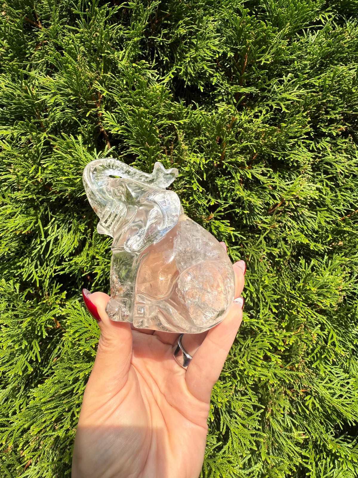 Garden Quartz Sitting Elephant Crystal Carving: Lodolite Animal Figurine