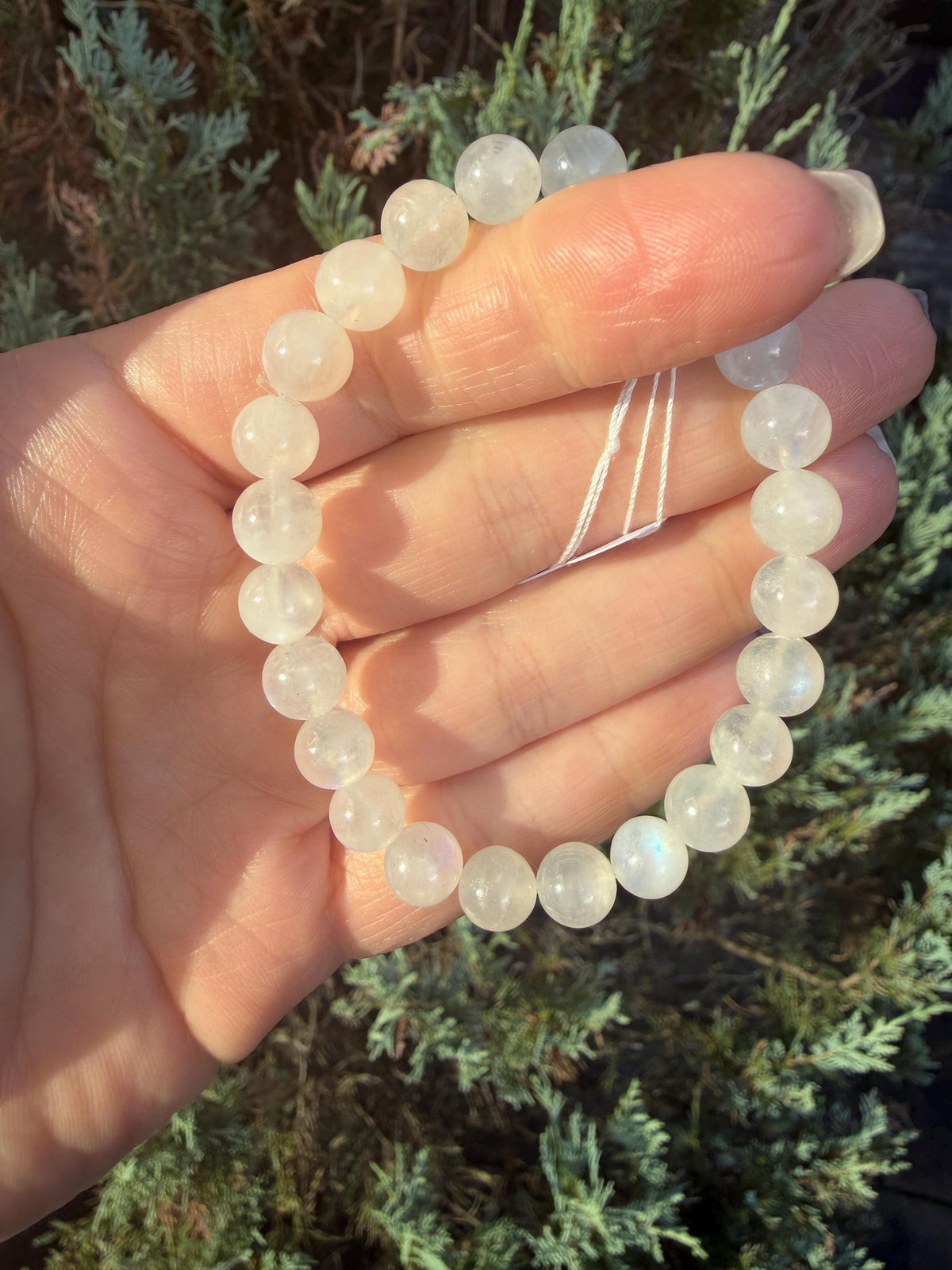 Flashy White Moonstone Beaded Bracelet • Crystal Healing Jewelry • Intuition & Feminine Energy