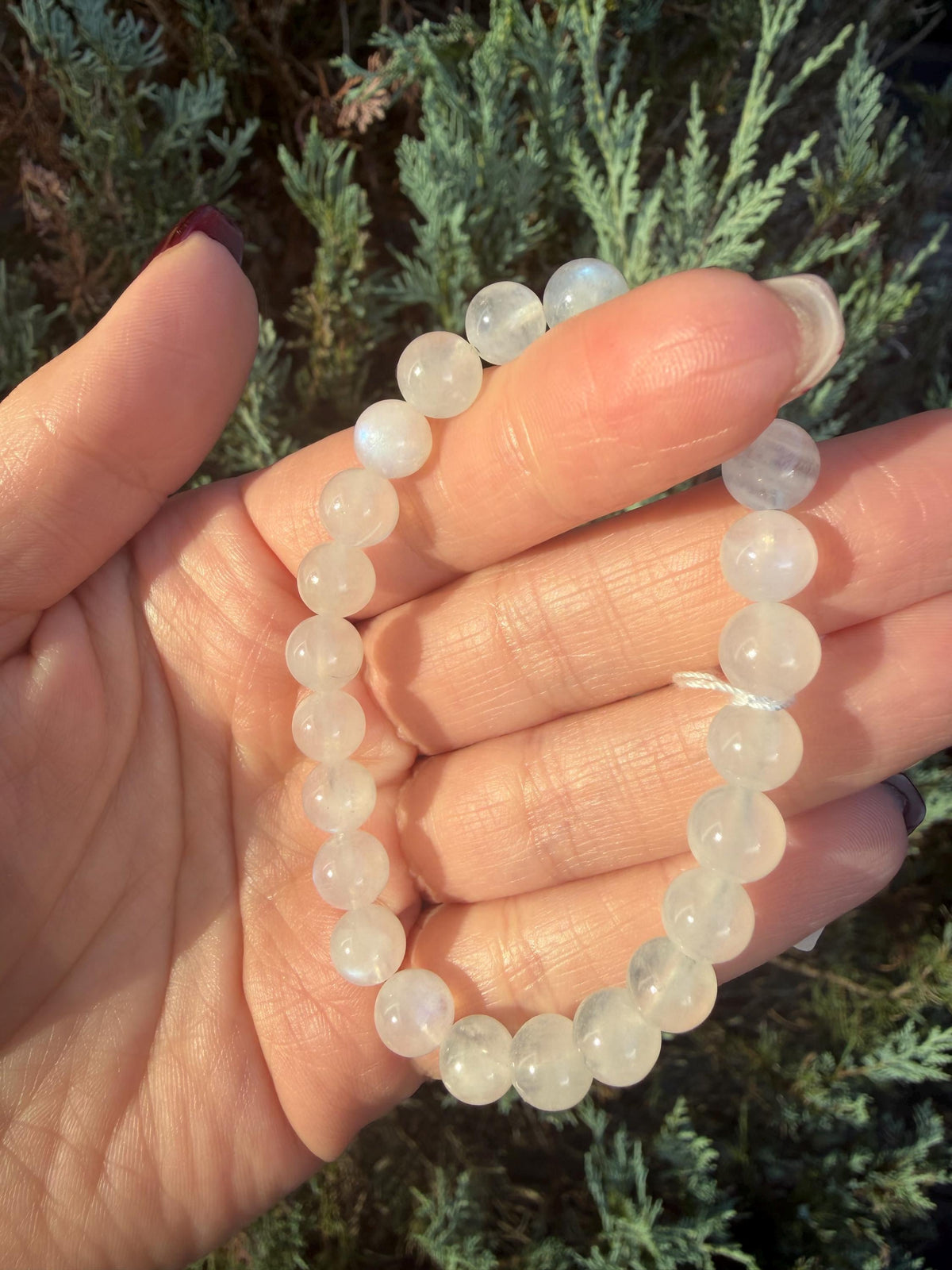 Close-up of 7.5mm White Moonstone beads with blue flash and polished finish.