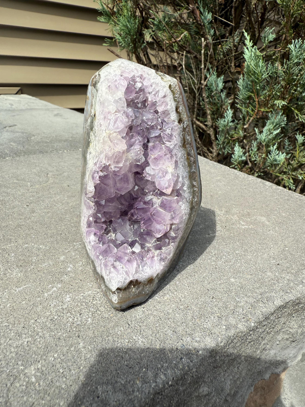 Purple Amethyst & Agate Druzy Cut Base • Banded Crystal Geode • Home Decor • Healing Mineral Specimen