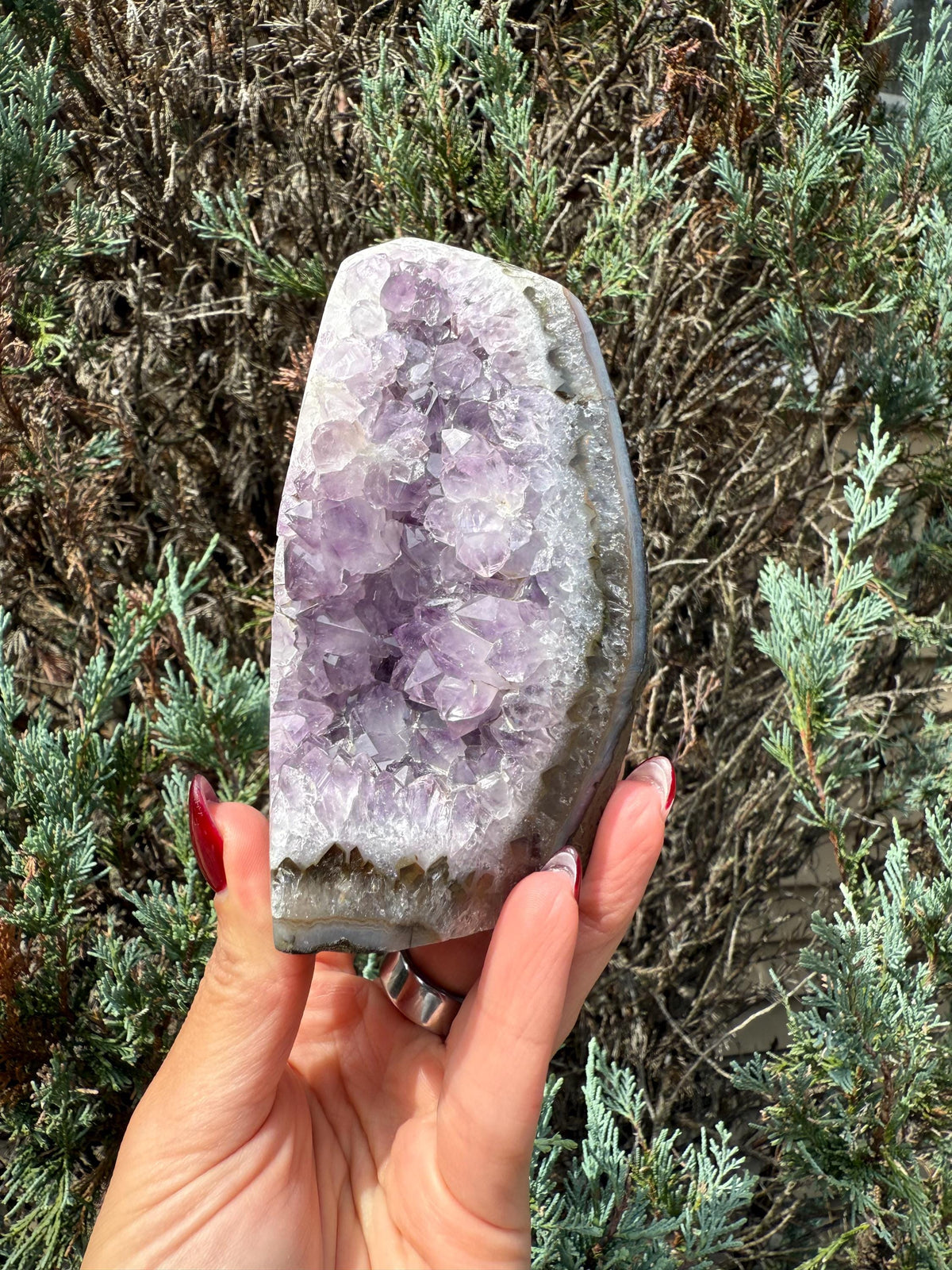 Purple Amethyst & Agate Druzy Cut Base • Banded Crystal Geode • Home Decor • Healing Mineral Specimen