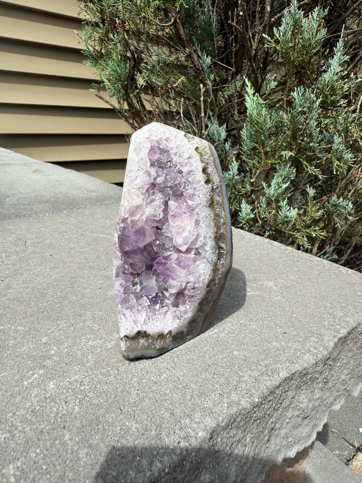 Purple Amethyst & Agate Druzy Cut Base • Banded Crystal Geode • Home Decor • Healing Mineral Specimen
