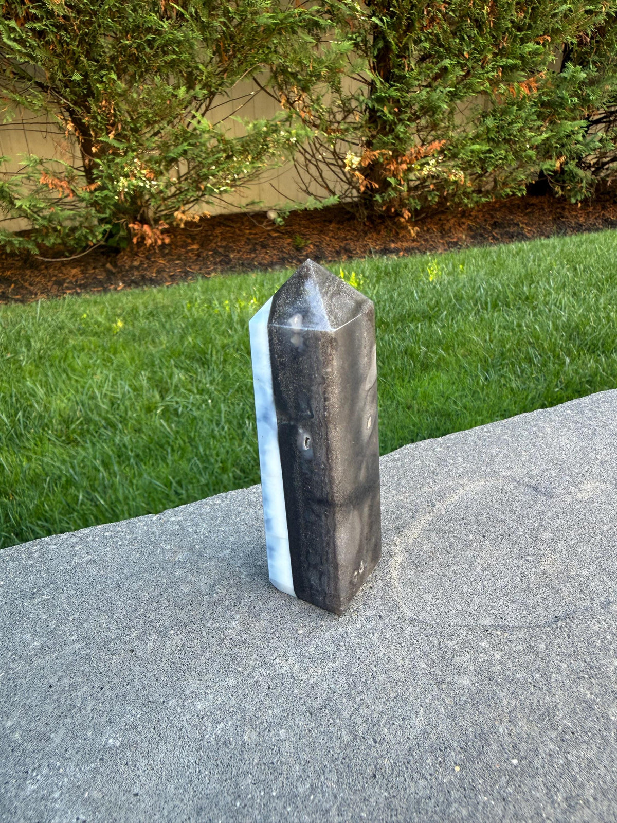 Owyhee Blue Opal Tower • Moss Agate Inclusions, Calming Crystal Point