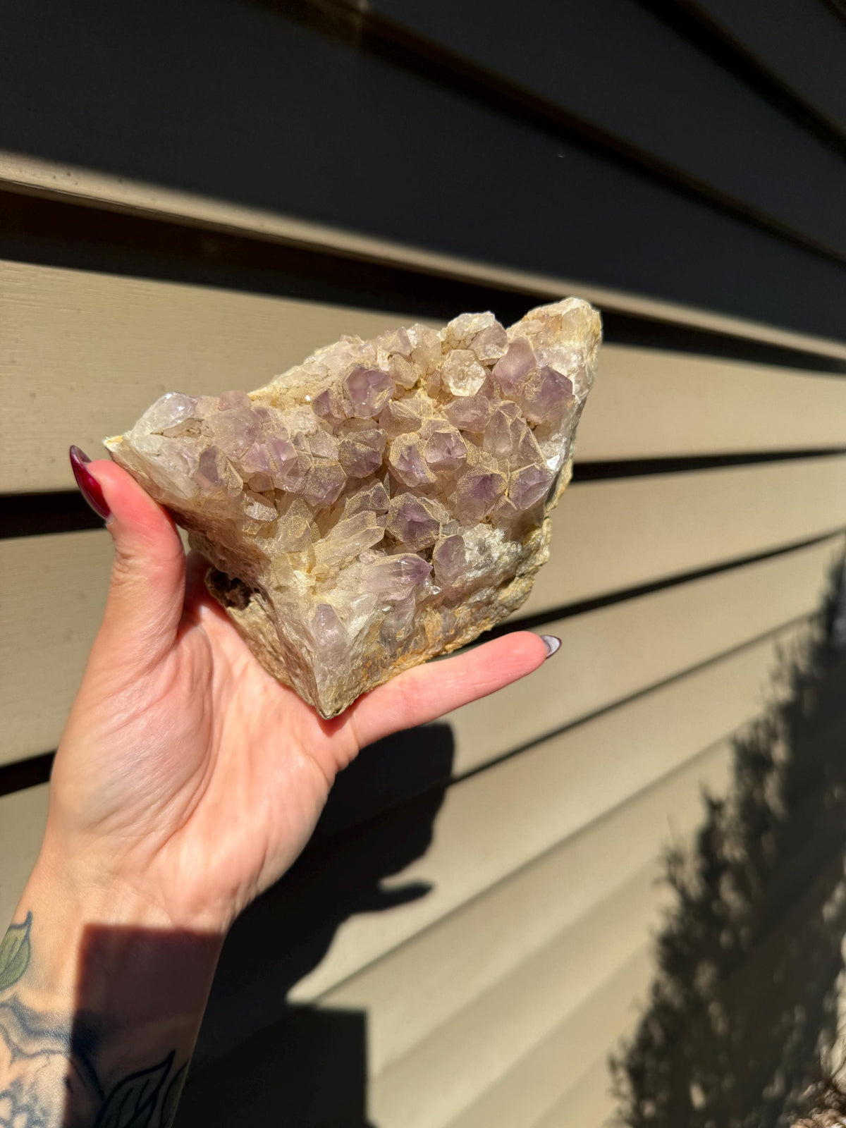 Large Guerrero Amethyst Freeform • Cut Base Crystal • Mexico • Purple Quartz Statement Stone • Healing Decor