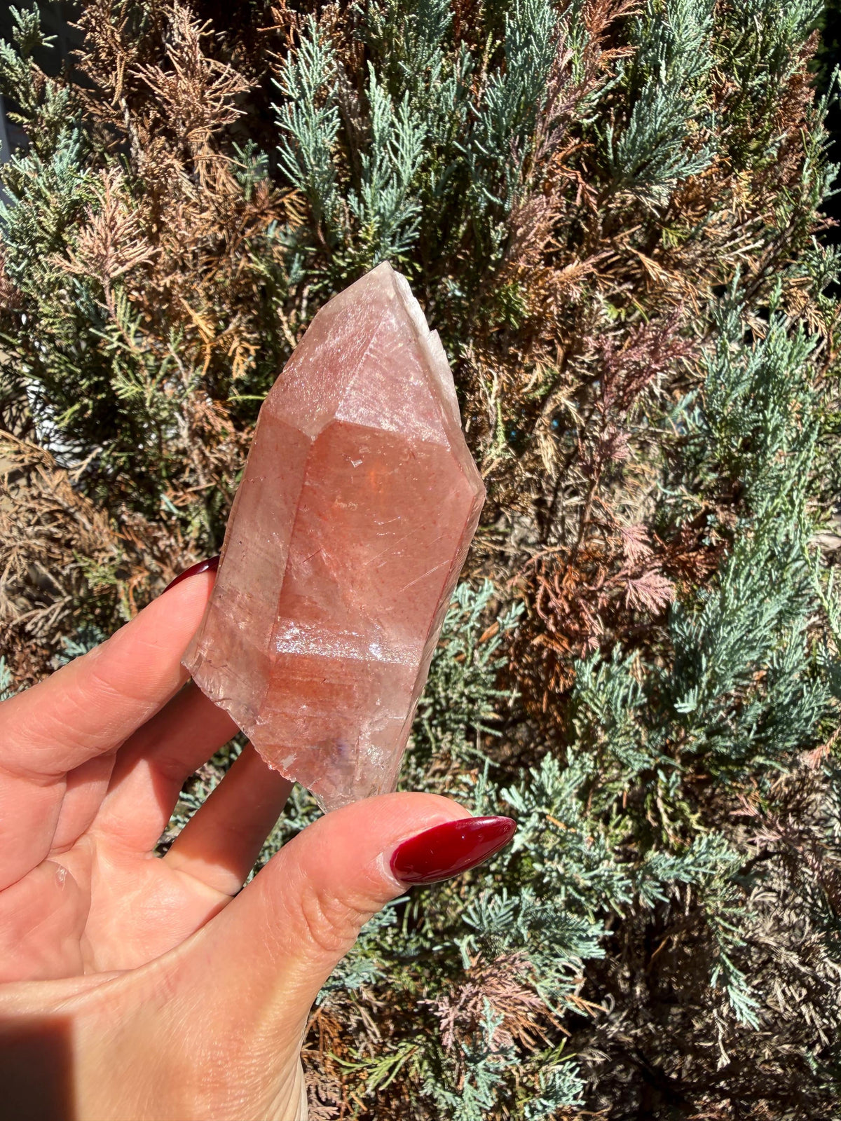 Pink Lithium Quartz Crystal Point on Stand • High Vibration Healing Stone • Spiritual Decor