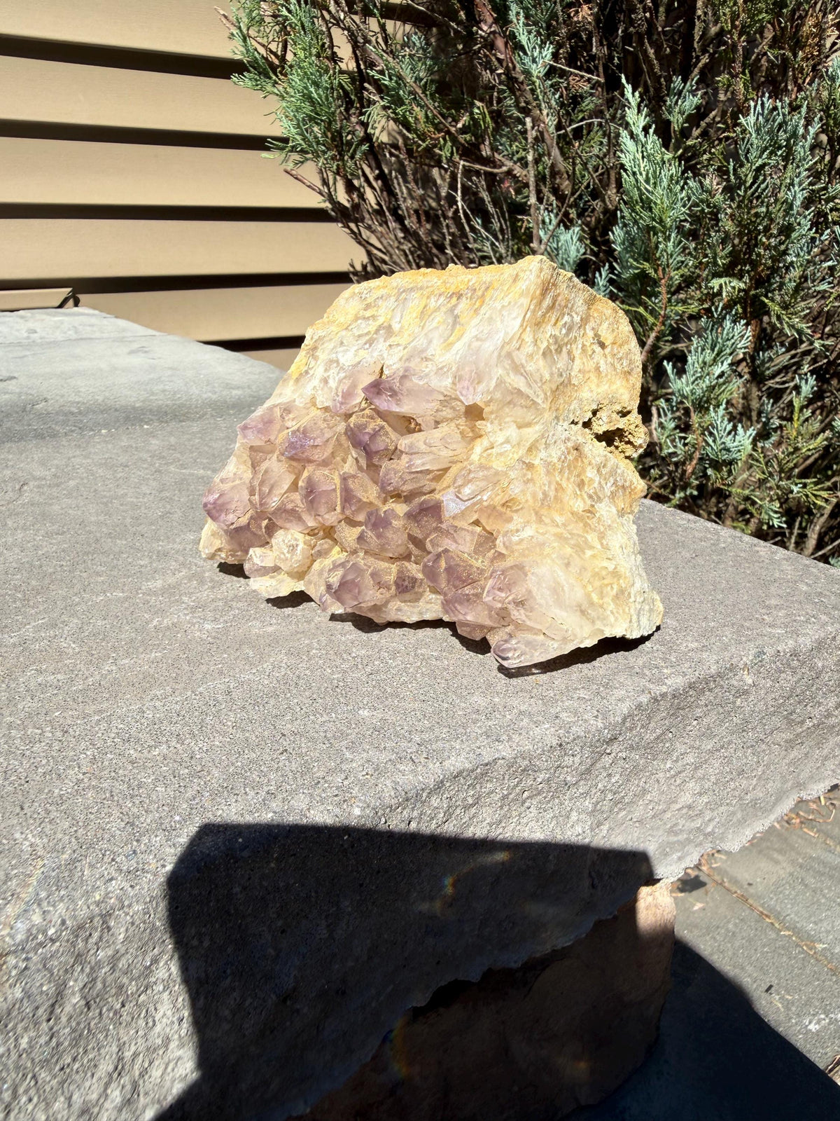 Large Guerrero Amethyst Freeform • Cut Base Crystal • Mexico • Purple Quartz Statement Stone • Healing Decor