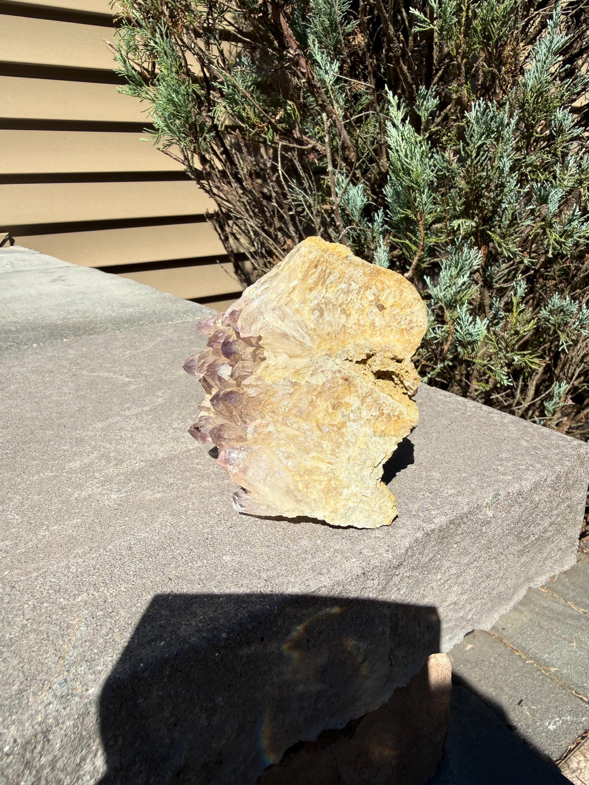 Large Guerrero Amethyst Freeform • Cut Base Crystal • Mexico • Purple Quartz Statement Stone • Healing Decor