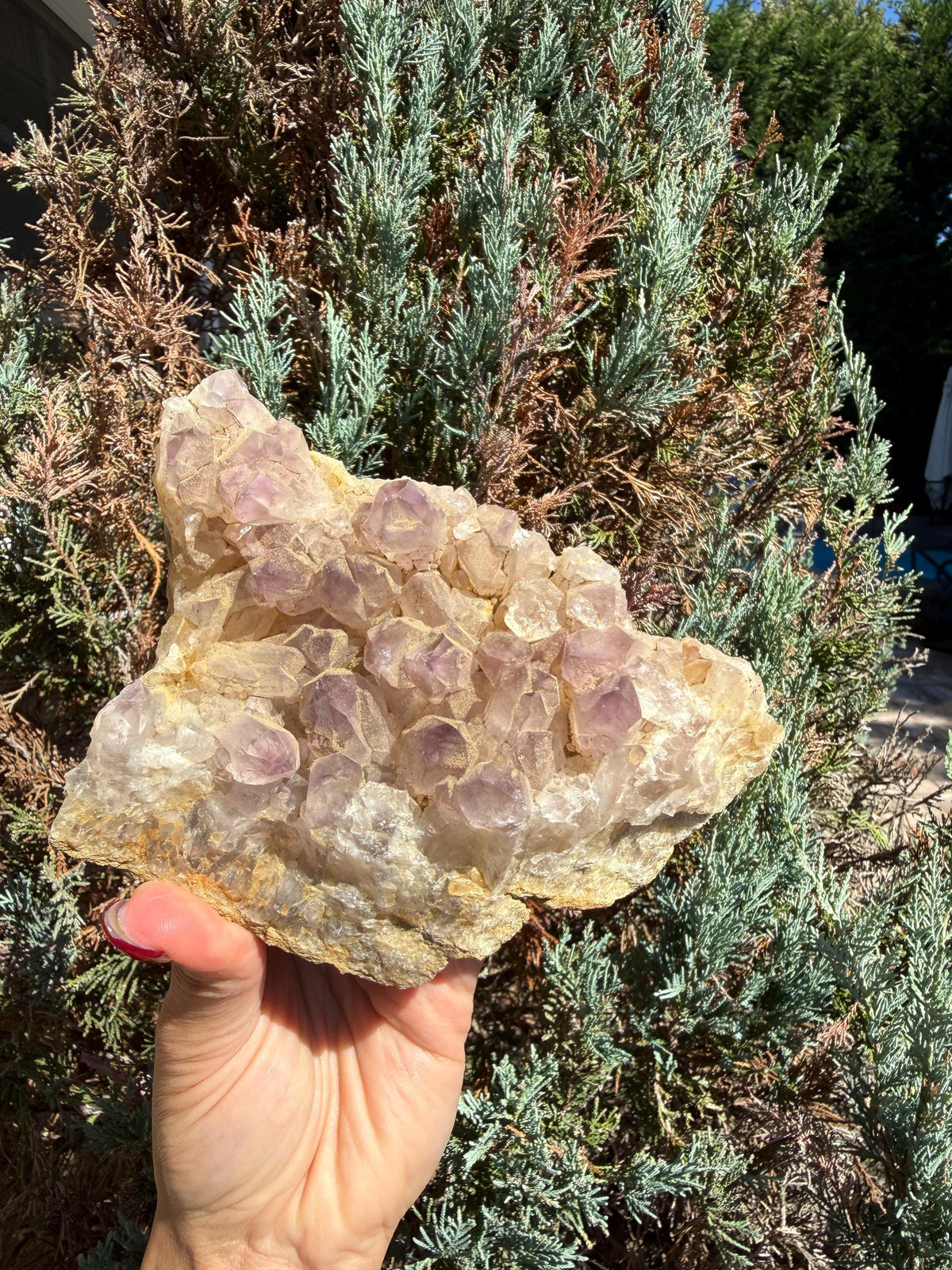 Large Guerrero Amethyst Freeform • Cut Base Crystal • Mexico • Purple Quartz Statement Stone • Healing Decor