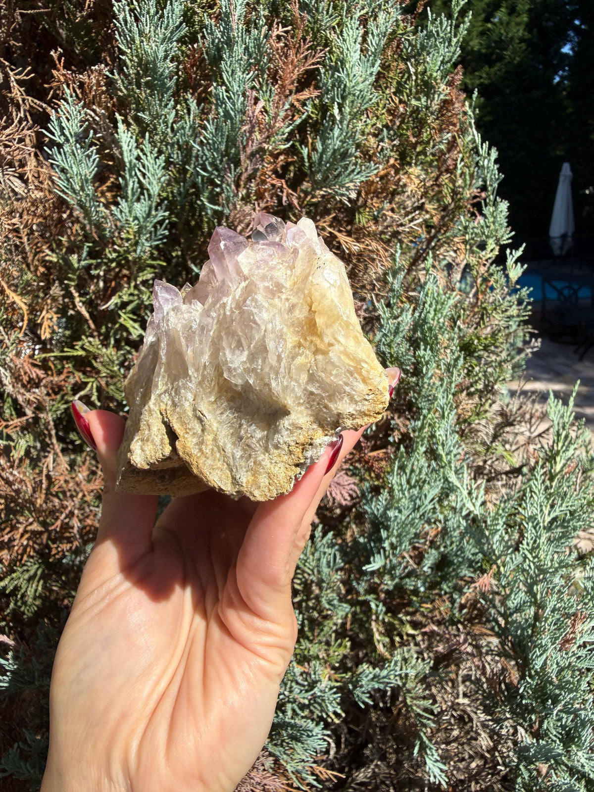 Large Guerrero Amethyst Freeform • Cut Base Crystal • Mexico • Purple Quartz Statement Stone • Healing Decor