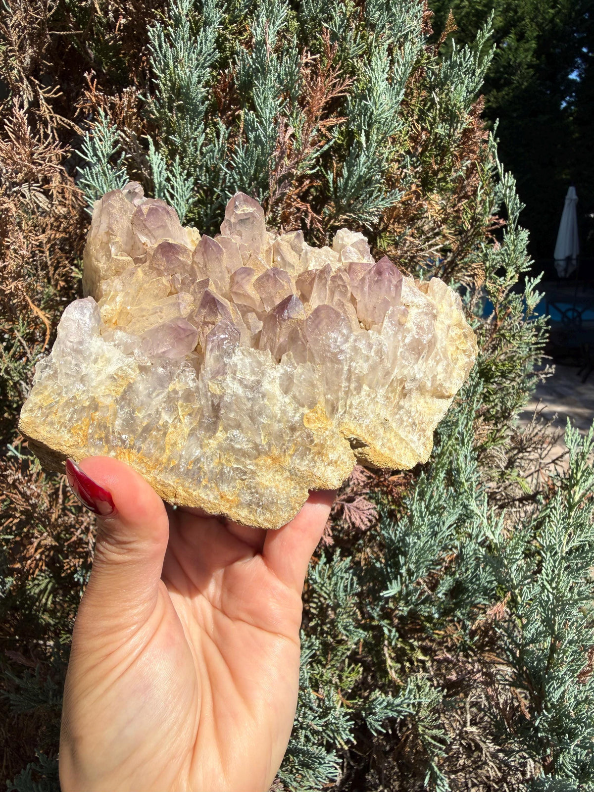 Large Guerrero Amethyst Freeform • Cut Base Crystal • Mexico • Purple Quartz Statement Stone • Healing Decor