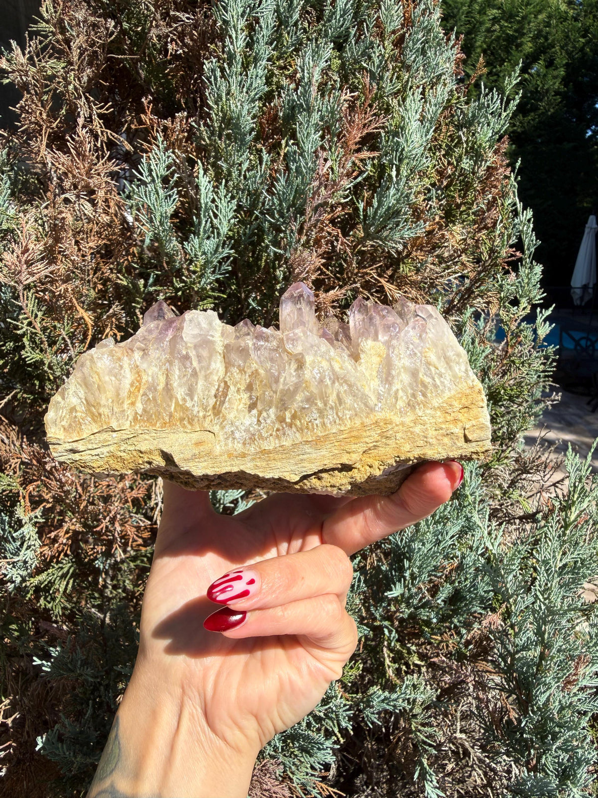 Large Guerrero Amethyst Freeform • Cut Base Crystal • Mexico • Purple Quartz Statement Stone • Healing Decor