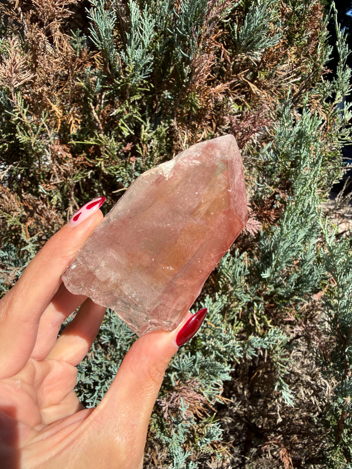 Pink Lithium Quartz Crystal Point on Stand • High Vibration Healing Stone • Spiritual Decor