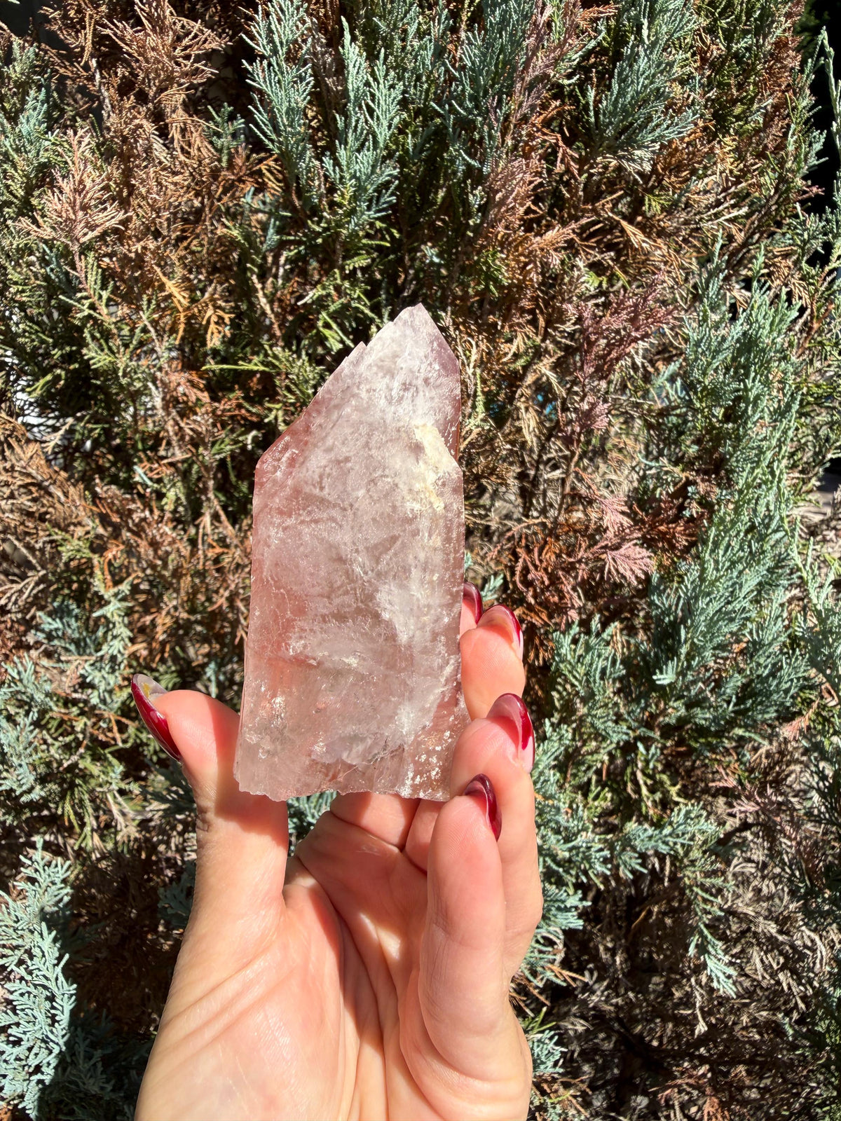 Pink Lithium Quartz Crystal Point on Stand • High Vibration Healing Stone • Spiritual Decor