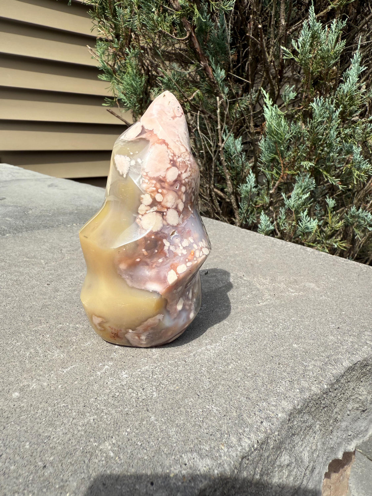 May include: A polished, freeform stone sculpture with a mix of colors, including beige, pink, and brown. The stone has a smooth, glossy finish and is displayed outdoors on a concrete surface. The sculpture's shape is organic and abstract.