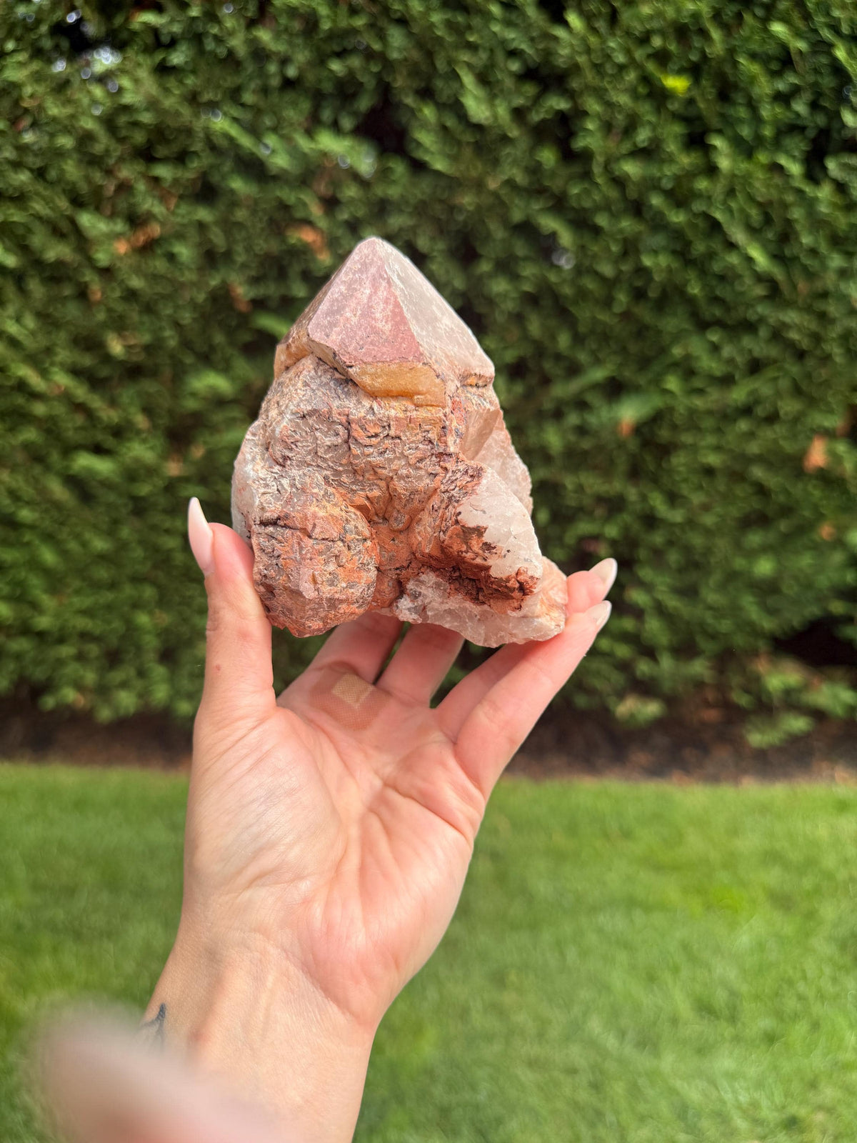 May include: A large, rough-textured crystal cluster with a reddish-brown hue, held against a backdrop of green foliage. The crystal has a pointed top and a mix of colors, including tan and white. The natural formation is displayed outdoors.