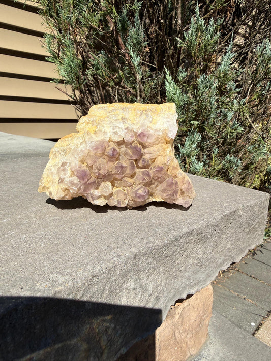 May include: A large, rough-hewn amethyst geode with a light yellow exterior and clusters of purple crystals. The geode sits on a gray stone surface, with green foliage in the background. The natural formation is a striking display of mineral beauty.