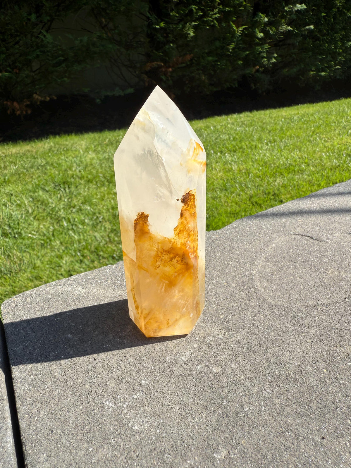 May include: A clear quartz crystal point with golden-brown inclusions. The crystal is faceted and stands upright on a gray surface, with a green lawn and trees in the background. The crystal is approximately 6 inches tall.
