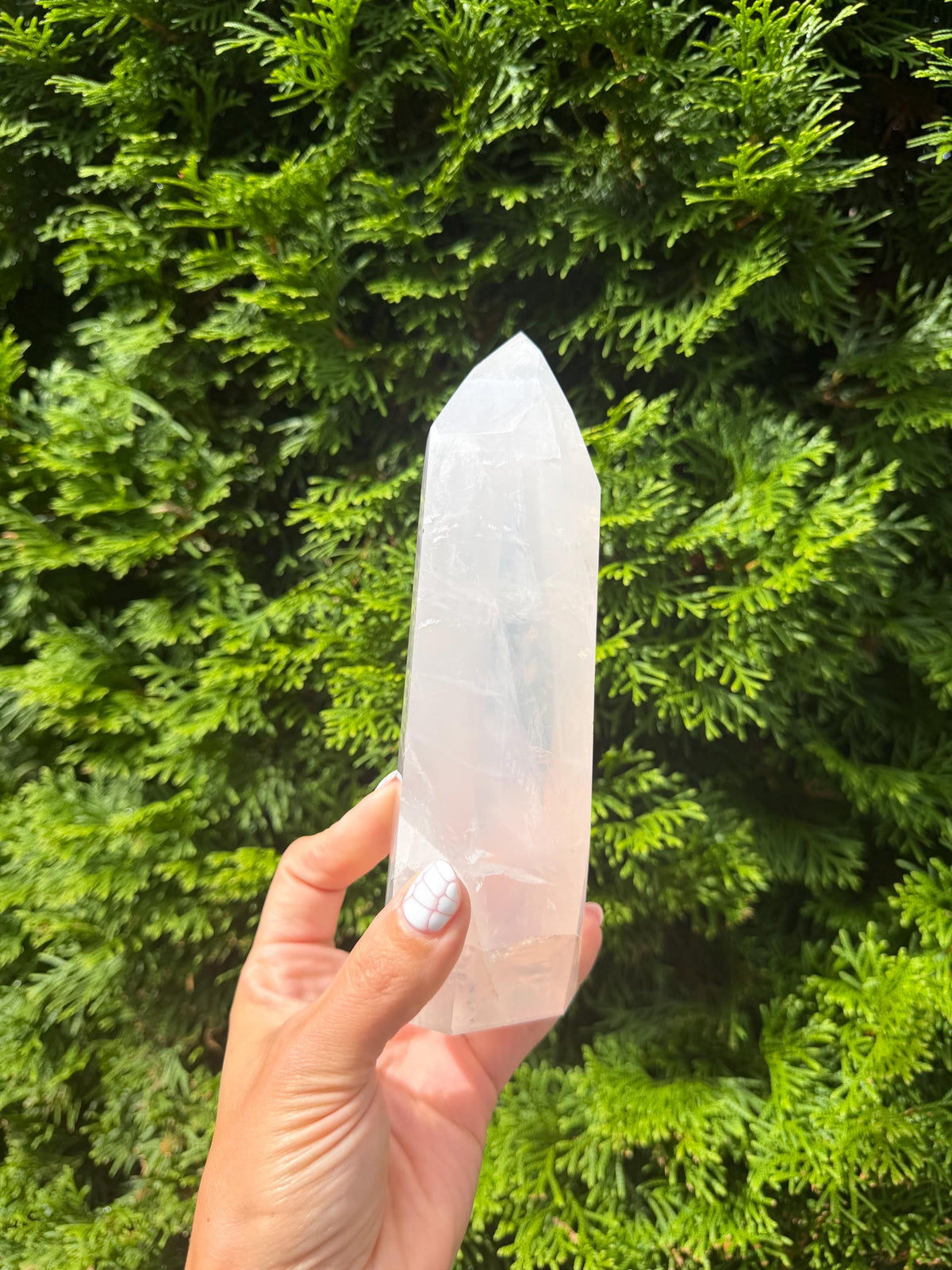 XL Girasol Quartz Crystal Tower • Milky Opalescent Glow • Polished Crystal Point