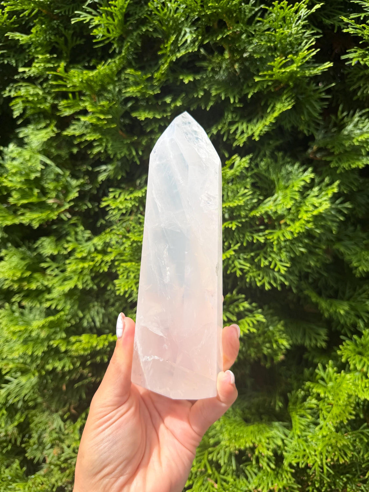 XL Girasol Quartz Crystal Tower • Milky Opalescent Glow • Polished Crystal Point