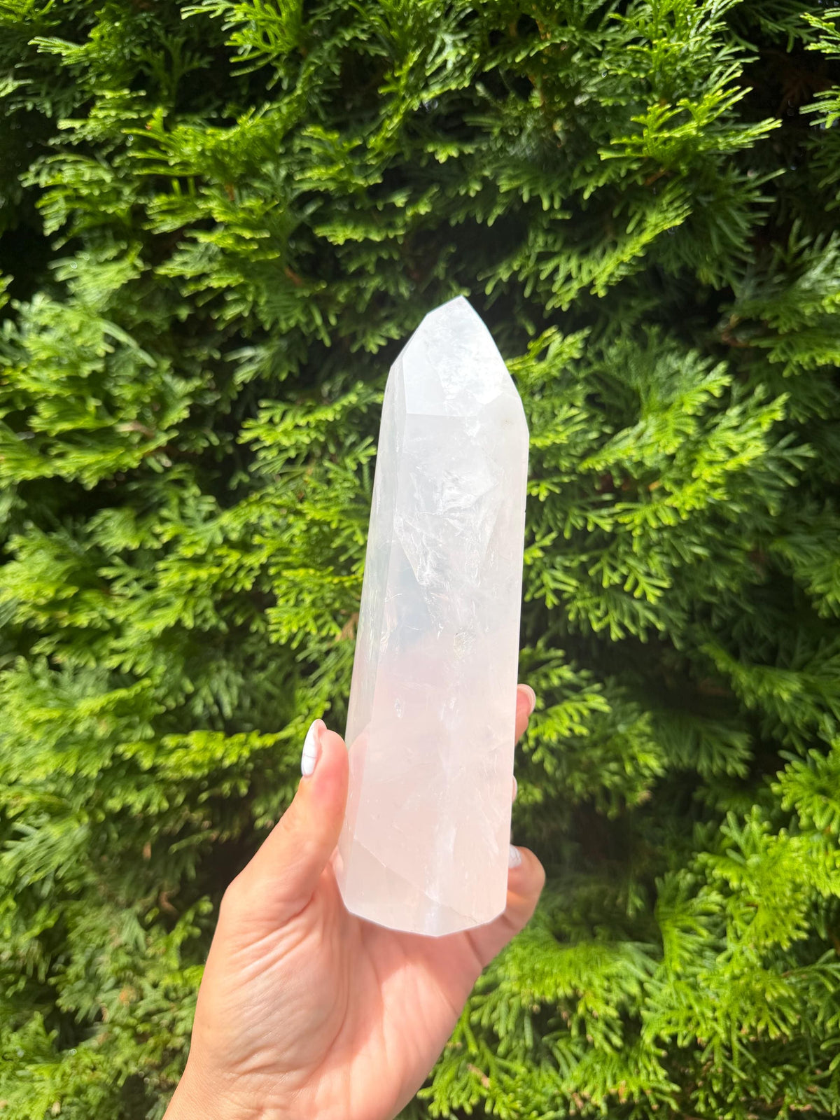 XL Girasol Quartz Crystal Tower • Milky Opalescent Glow • Polished Crystal Point